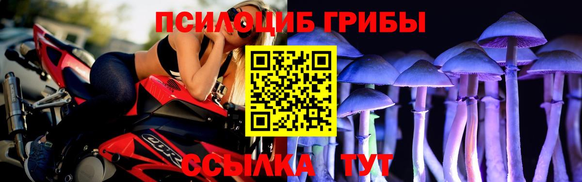 Галлюциногенные грибы Magic Shrooms Севастополь