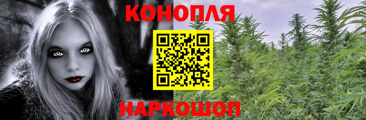 Севастополь  Конопля марихуана  Вход с VPN  Бошки марихуана план 